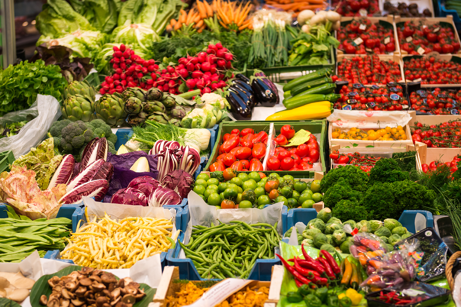 90% Decidem Pela Comida: Como Transformar Experiência Gastronômica em Estratégia de Marketing da Sua Agência